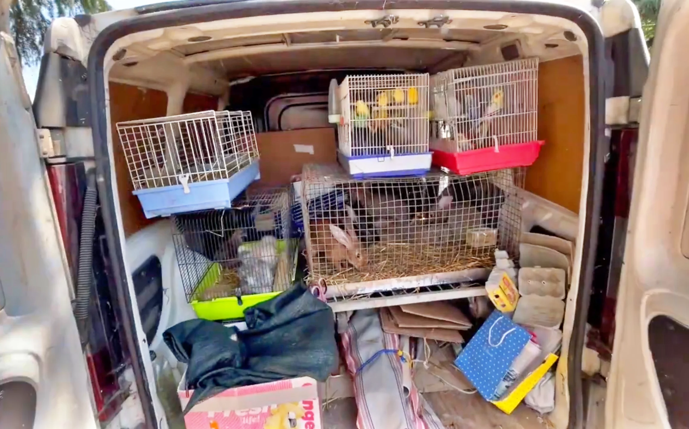 Animali in vendita lasciati negligentemente incustoditi