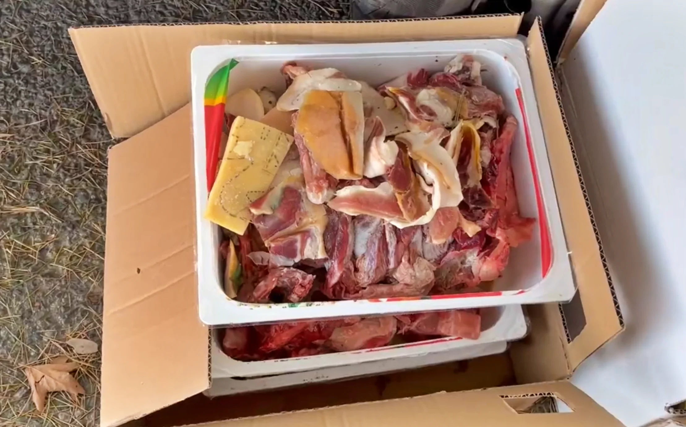 Resti di carne fresca insieme ad animali vivi